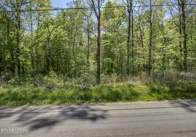 2nd image of 435 Oak Grove Rd, Decatur, TN 37322 | MLS# 1335512