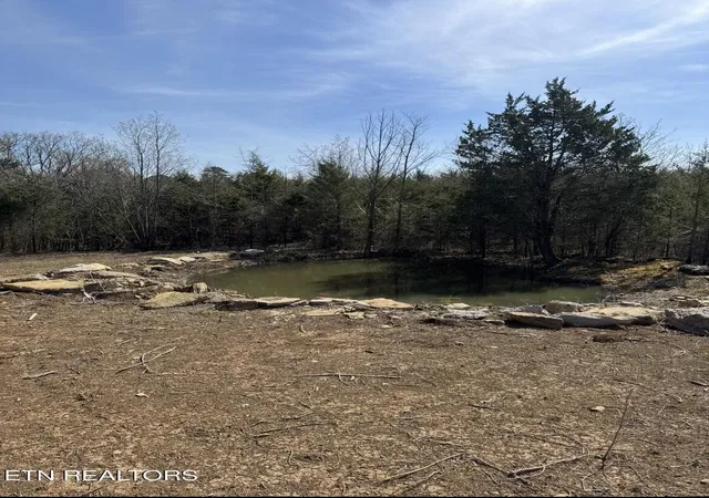 Homes for sale in Whitesburg, TN | 000 Silver City Rd, Whitesburg, TN 37891 | MLS# 1335989