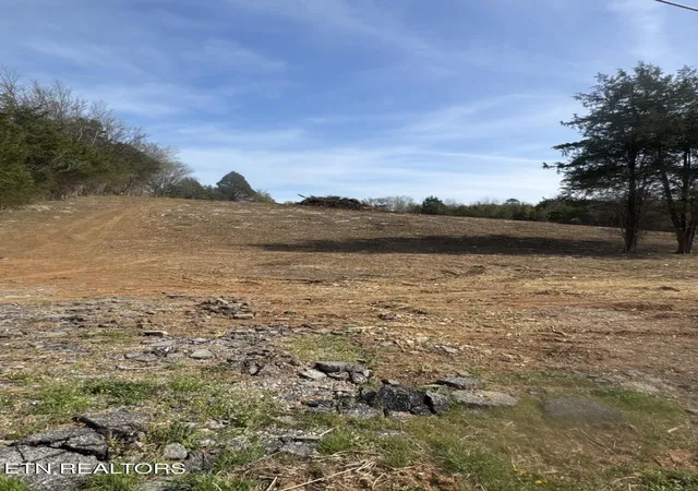 Homes for sale in Whitesburg, TN | 000 Silver City Rd, Whitesburg, TN 37891 | MLS# 1335989