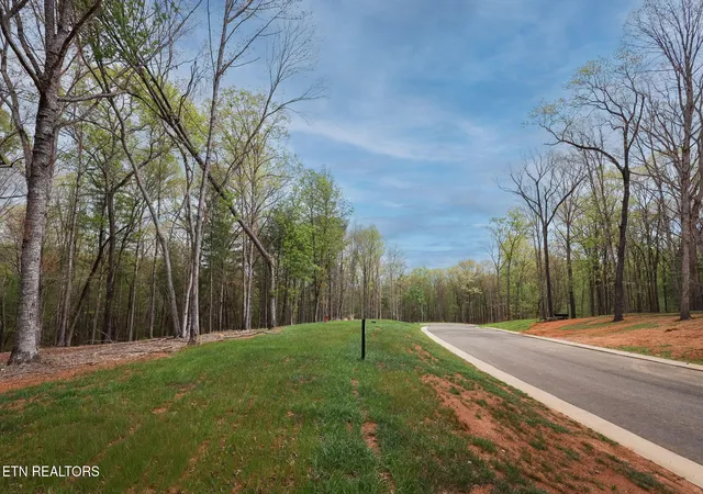 40th image of 289 Flip Flop Wy, Loudon, TN 37774 | MLS# 1335618