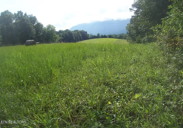 4th image of Hwy 411, Sevierville, TN 37876 | MLS# 1335781