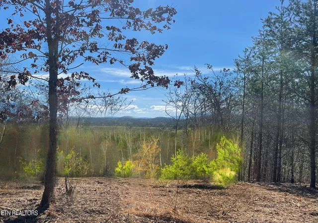 11th image of 194 Forest Ridge Lane, Greenback, TN 37742 | MLS# 1335800