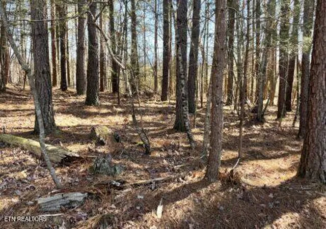 1st image of 194 Forest Ridge Lane, Greenback, TN 37742 | MLS# 1335800