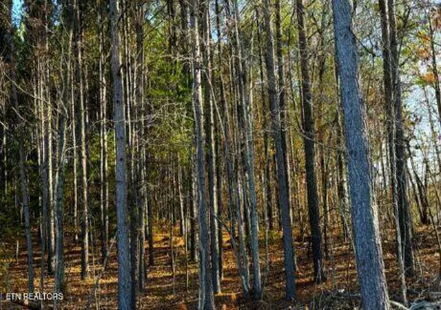 2nd image of 194 Forest Ridge Lane, Greenback, TN 37742 | MLS# 1335800