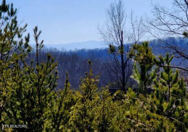 3rd image of 194 Forest Ridge Lane, Greenback, TN 37742 | MLS# 1335800