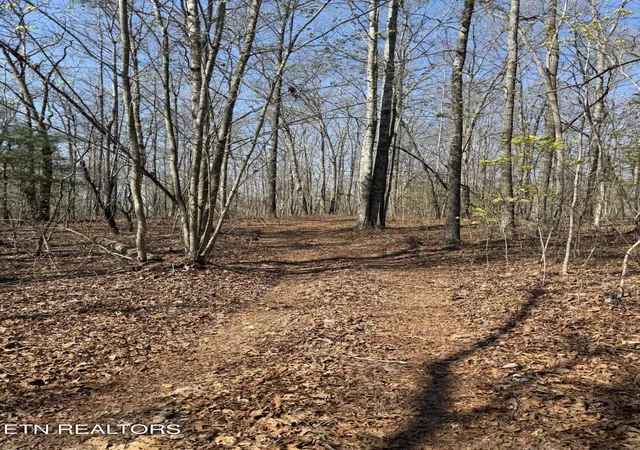 Homes for sale in Sunbright, TN | Coon Hollow Rd #031    009.01, Sunbright, TN 37872 | MLS# 1336326
