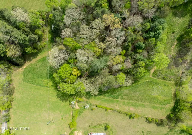 30th image of Dry Valley Rd, Townsend, TN 37882 | MLS# 1335957
