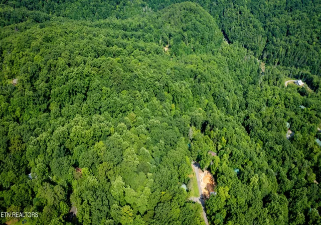 37th image of Tract 3 5 Wilson Hollow Wy, Sevierville, TN 37876 | MLS# 1335984