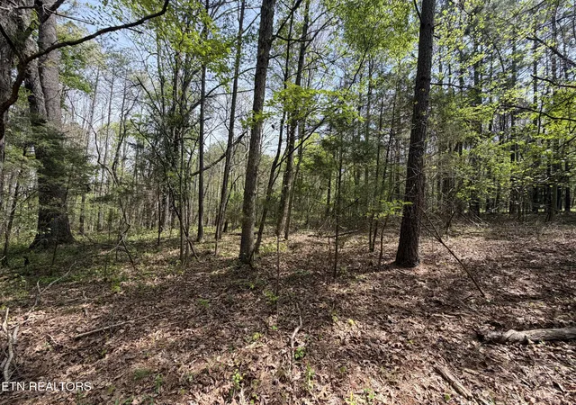 Homes for sale in Loudon, TN | 304 Dry Valley Road, Loudon, TN 37774 | MLS# 1336032