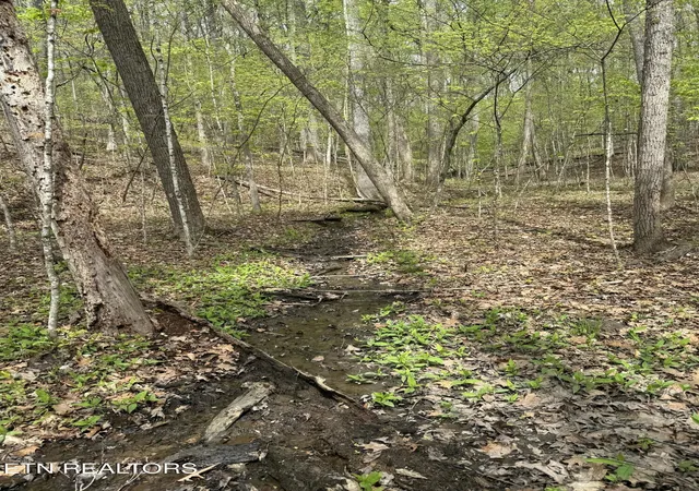 Photo 3 of Land for sale at Lot 1 Yarnell Rd, Knoxville, TN 37932 | MLS# 1336101 | Listing updated on 2026-04-15