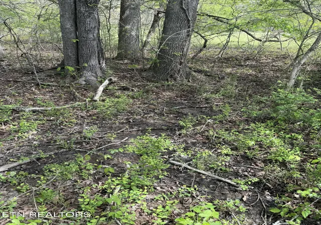 Photo 4 of Land for sale at Lot 1 Yarnell Rd, Knoxville, TN 37932 | MLS# 1336101 | Listing updated on 2026-04-15