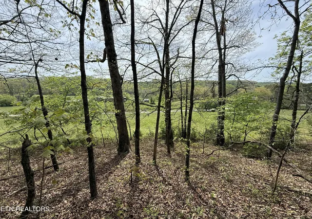 Photo 3 of Land for sale at Lot 4 Yarnell Rd, Knoxville, TN 37932 | MLS# 1336106 | Listing updated on 2026-04-15