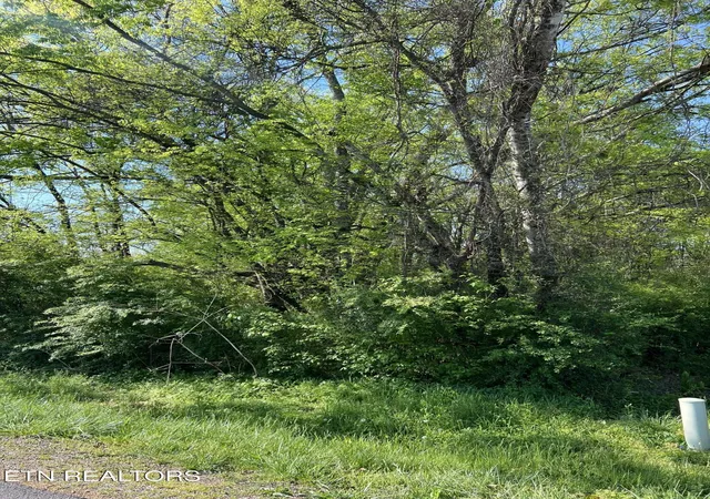 3rd image of 170 Utsesti Wy, Loudon, TN 37774 | MLS# 1336122