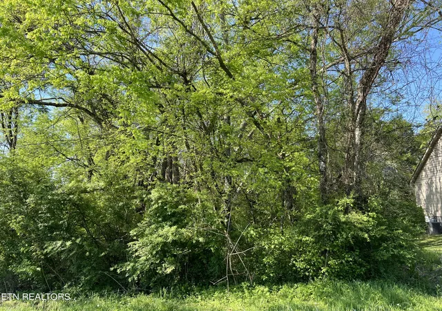 4th image of 170 Utsesti Wy, Loudon, TN 37774 | MLS# 1336122