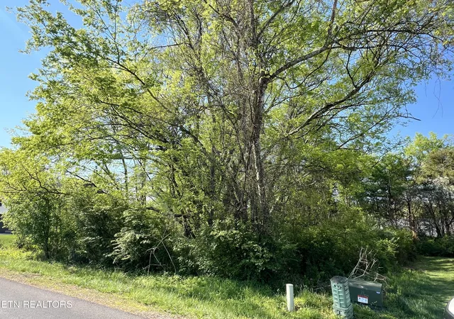 5th image of 170 Utsesti Wy, Loudon, TN 37774 | MLS# 1336122