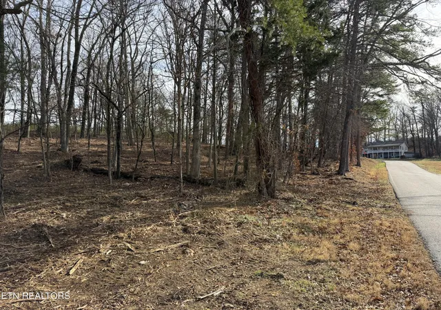 3rd image of 3224 Davis Ferry Rd, Loudon, TN 37774 | MLS# 1336139
