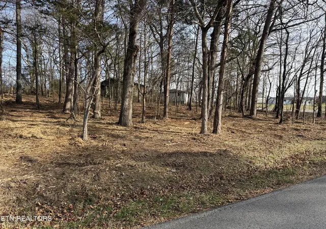 4th image of 3224 Davis Ferry Rd, Loudon, TN 37774 | MLS# 1336139