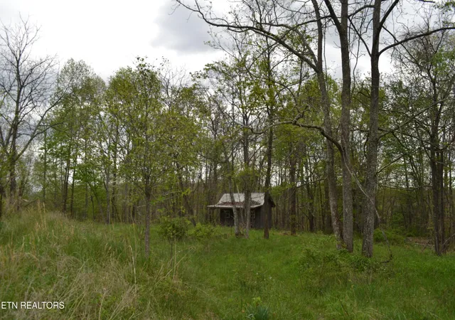 Photo 1 of Land for sale at N Of Deer Lodge Hwy, Deer Lodge, TN 37726 | MLS# 1336760 | Listing updated on 2026-08-20