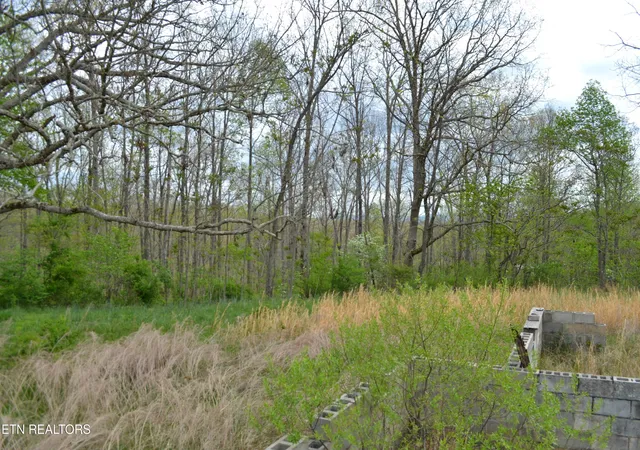 Photo 4 of Land for sale at N Of Deer Lodge Hwy, Deer Lodge, TN 37726 | MLS# 1336760 | Listing updated on 2026-08-20