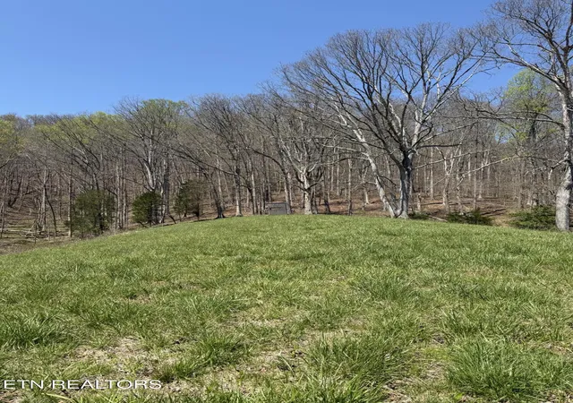 Homes for sale in Church Hill, TN | 2824 Goshen Valley Rd, Church Hill, TN 37642 | MLS# 1336328