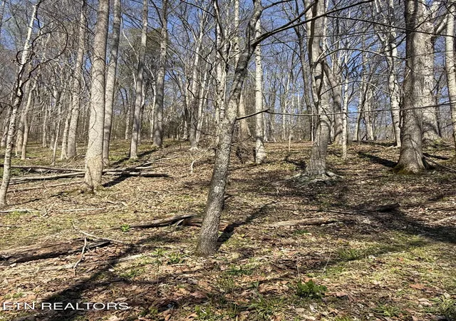 Photo 3 of Land for sale at 0000 Goshen Valley (64 Acres) Rd, Church Hill, TN 37642 | MLS# 1336328 | Listing updated on 2026-06-06