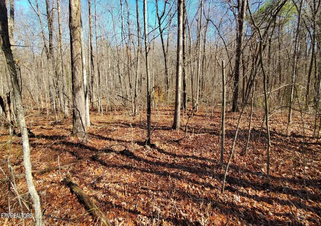 Photo 3 of Land for sale at 11 Rhonda Rd, Monterey, TN 38574 | MLS# 1336373 | Listing updated on 2026-09-11