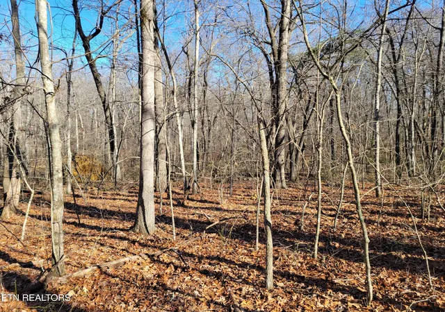 Photo 3 of Land for sale at 11 Rhonda Rd, Monterey, TN 38574 | MLS# 1336373 | Listing updated on 2026-09-11