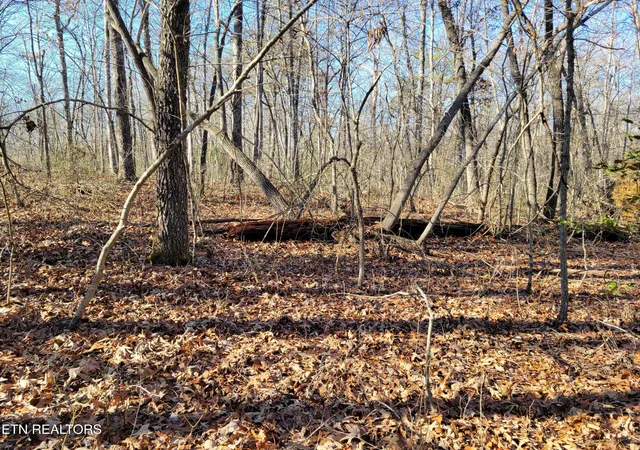 Photo 4 of Land for sale at 11 Rhonda Rd, Monterey, TN 38574 | MLS# 1336373 | Listing updated on 2026-09-11