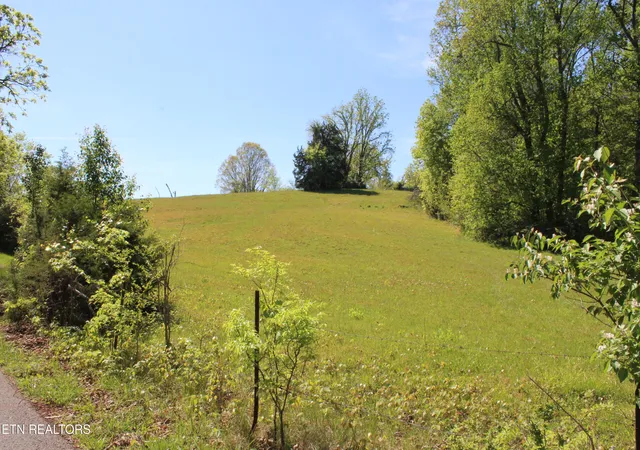 Homes for sale in Louisville, TN | 3720 Wayne Bryant Rd, Louisville, TN 37777 | MLS# 1336932