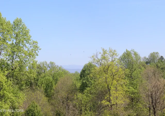 Homes for sale in Louisville, TN | 3720 Wayne Bryant Rd, Louisville, TN 37777 | MLS# 1336932