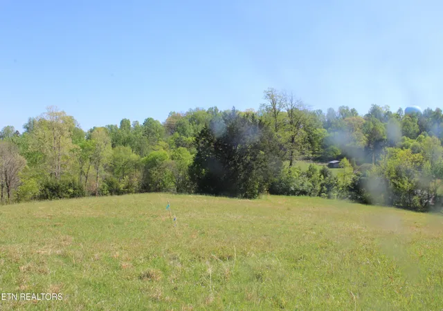 Homes for sale in Louisville, TN | 3730 Wayne Bryant Rd, Louisville, TN 37777 | MLS# 1336933