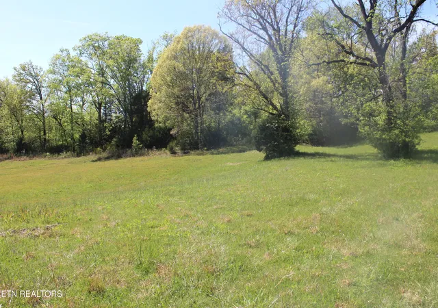 Homes for sale in Louisville, TN | 3730 Wayne Bryant Rd, Louisville, TN 37777 | MLS# 1336933