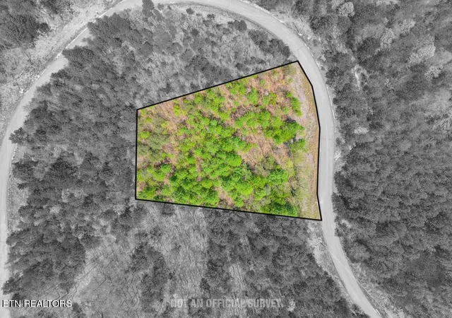 Homes for sale in Spencer, TN | 0 Overlook Dr, Spencer, TN 38585 | MLS# 1337697