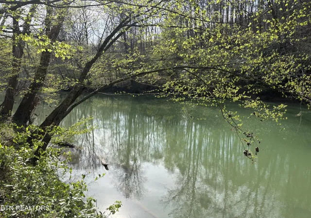 Photo 4 of Land for sale at Lawson Rd, Huntsville, TN 37756 | MLS# 1336594 | Listing updated on 2026-05-05