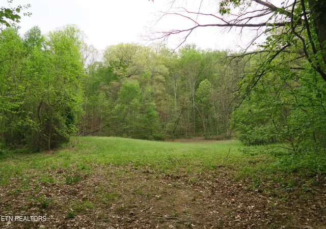 Homes for sale in Rocky Top, TN | 250 Mountain Side Ln, Rocky Top, TN 37769 | MLS# 1336786