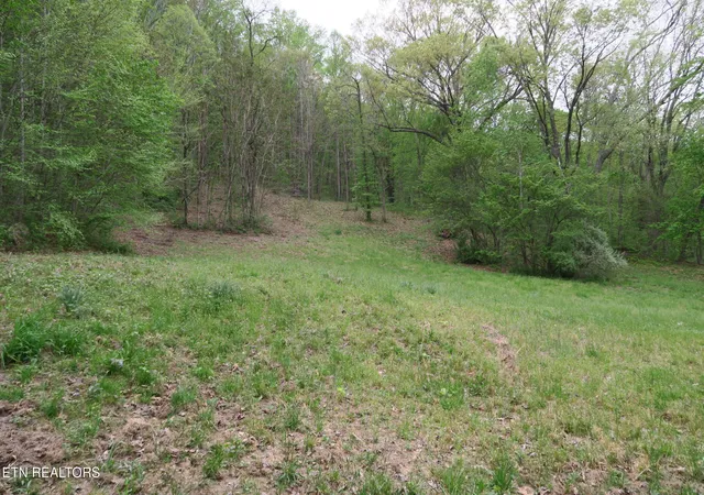 Homes for sale in Rocky Top, TN | 250 Mountain Side Ln, Rocky Top, TN 37769 | MLS# 1336786