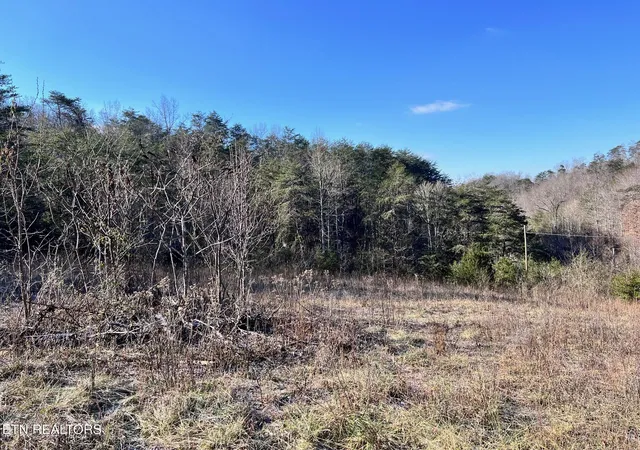 13th image of 1581 Lower Caney Valley Rd, Tazewell, TN 37879 | MLS# 1336659