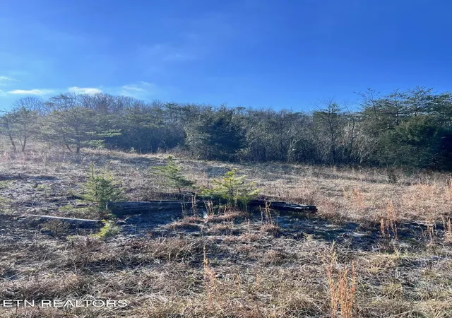 3rd image of 1581 Lower Caney Valley Rd, Tazewell, TN 37879 | MLS# 1336659
