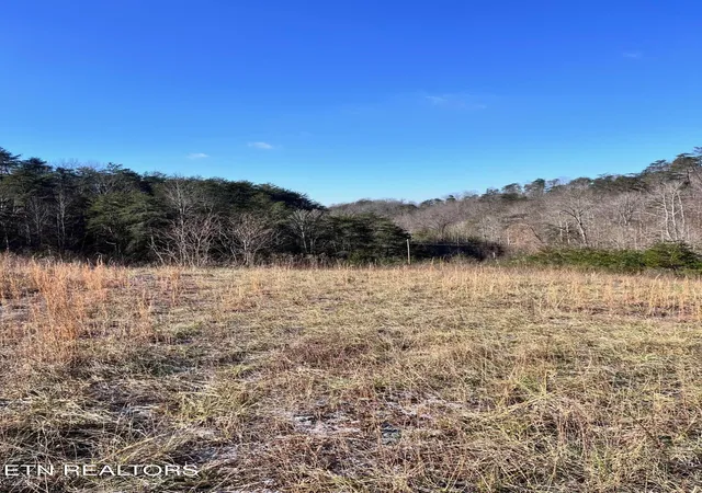 4th image of 1581 Lower Caney Valley Rd, Tazewell, TN 37879 | MLS# 1336659