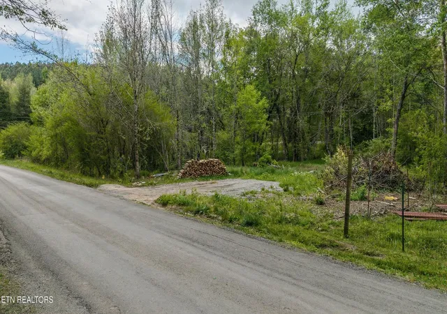 4th image of 1155 Womac Hollow Rd, Ten Mile, TN 37880 | MLS# 1336812