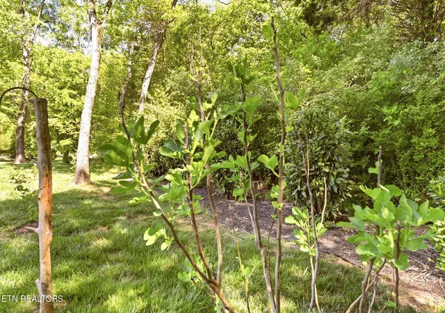 6th image of 103 Tsuhdatsi Wy, Loudon, TN 37774 | MLS# 1338427