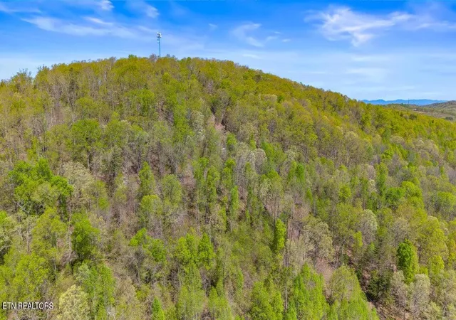 2nd image of 00 Dog Town Rd, Ten Mile, TN 37880 | MLS# 1336734