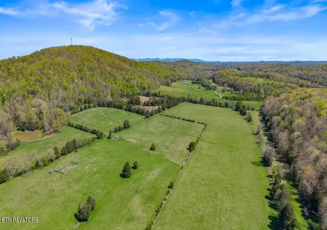 8th image of 00 Dog Town Rd, Ten Mile, TN 37880 | MLS# 1336734