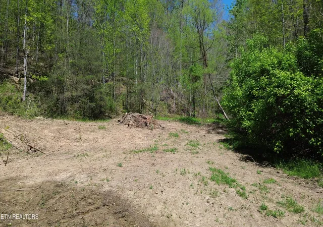 Homes for sale in Mooresburg, TN | 0 Big Hill Rd, Mooresburg, TN 37811 | MLS# 1337163