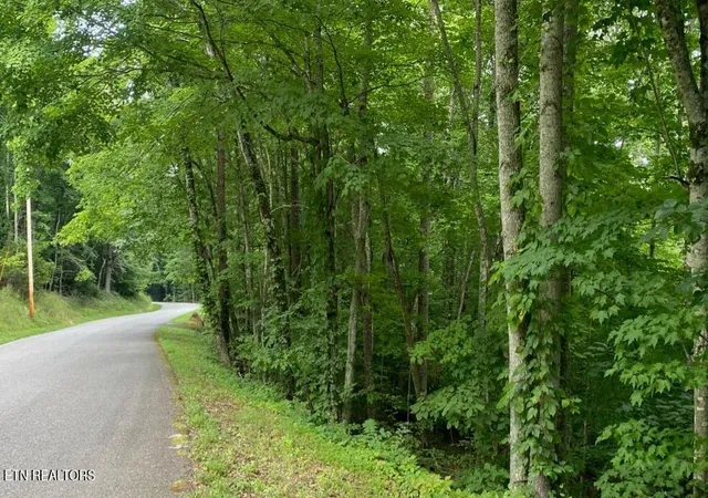 Photo 3 of Land for sale at 0 Cvs Norris Rd, Caryville, TN 37714 | MLS# 1336972 | Listing updated on 2026-09-02