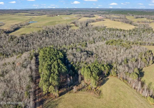 Photo 3 of Land for sale at 150 Ac Prong Of Clear, Jamestown, TN 38556 | MLS# 1336925 | Listing updated on 2026-08-04