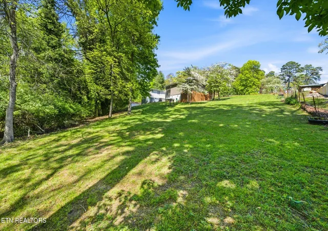 22nd image of 1547 Millstone Beach Rd, Dandridge, TN 37725 | MLS# 1338209