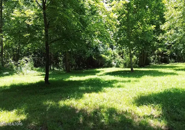 Homes for sale in Robbins, TN | 182 Nydeck Rd, Robbins, TN 37852 | MLS# 1336969