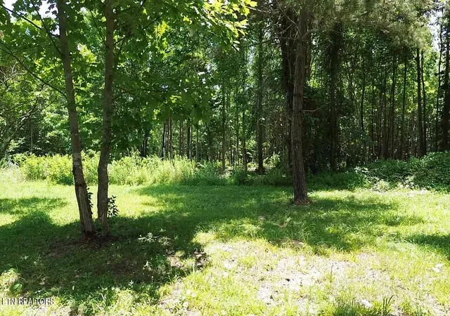Homes for sale in Robbins, TN | 182 Nydeck Rd, Robbins, TN 37852 | MLS# 1336969