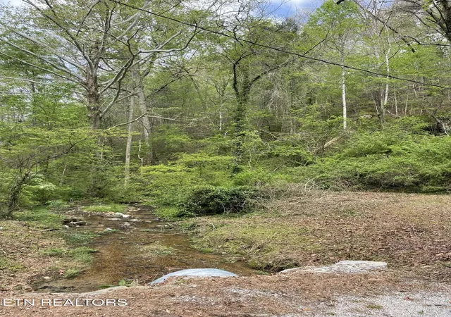 Photo 1 of Land for sale at 1573 Demory Rd, La Follette, TN 37766 | MLS# 1337184 | Listing updated on 2026-05-11